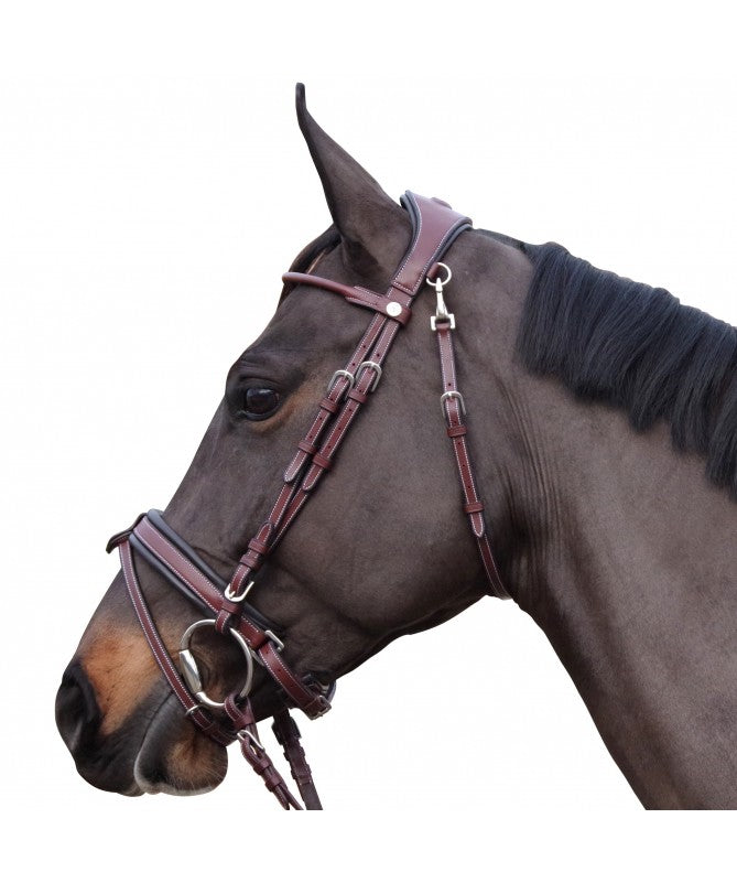 Amortisseur marron (cheval) - Prix en Algérie